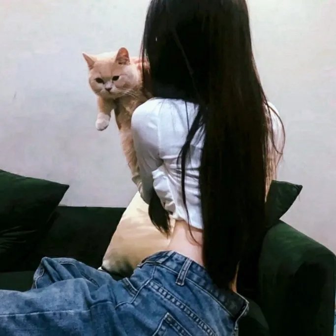 王冠的游戏:都铎家族